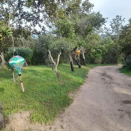 Serenella Nyaraló Olbia