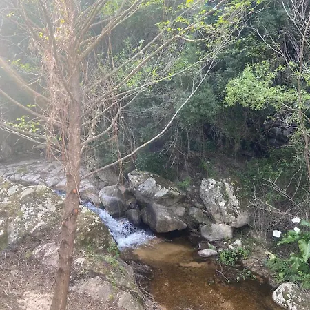 Serenella Olbia