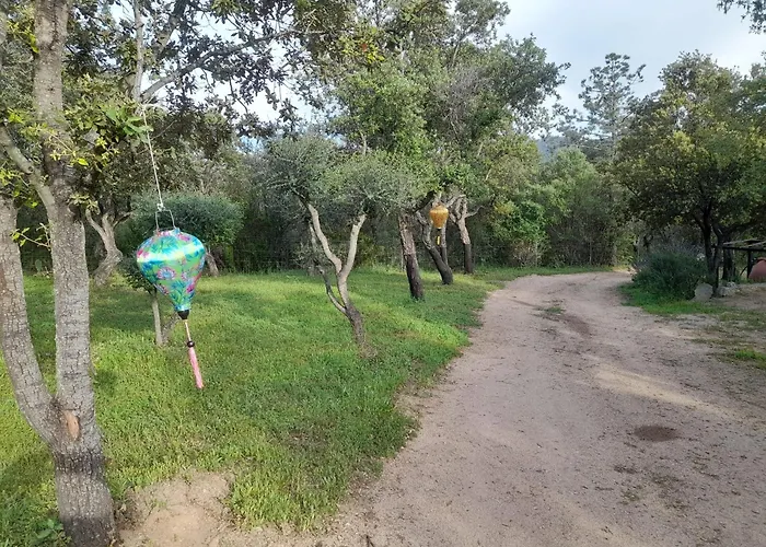 Serenella Hébergement de vacances Olbia